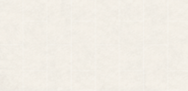 Porcelain White